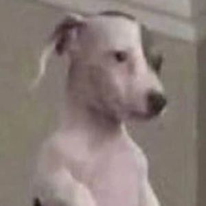 Meet your Posher, Zac